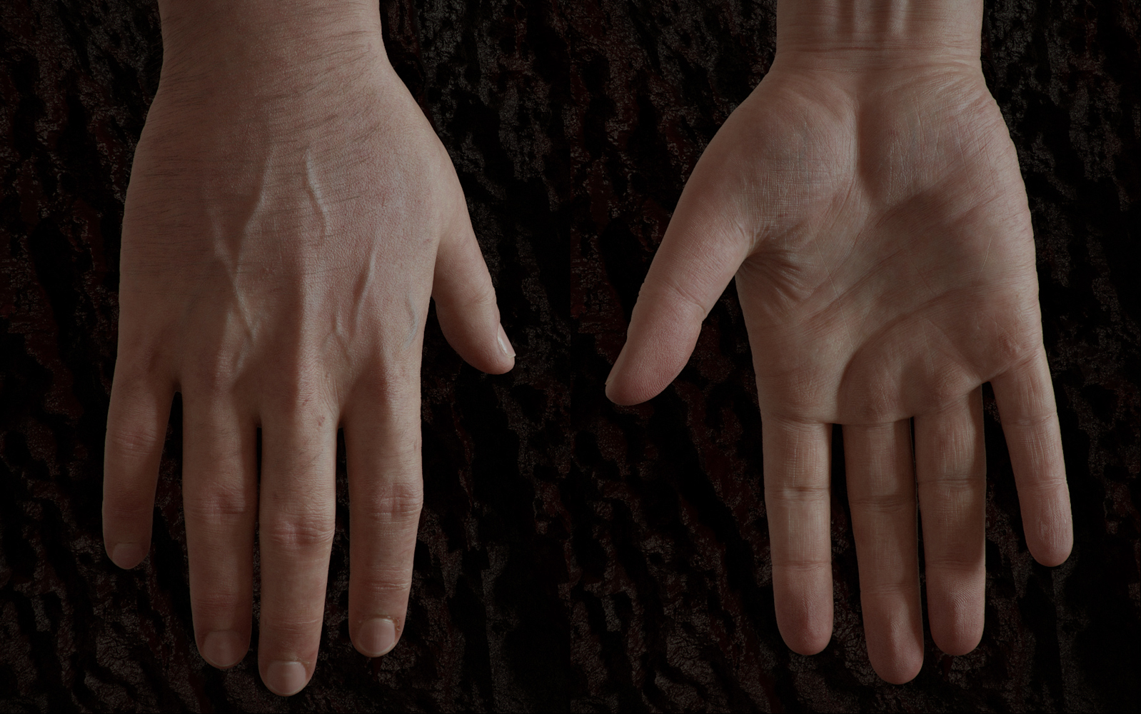 www.adamvfx.com/Portfolio/Images/HandStudy.jpg